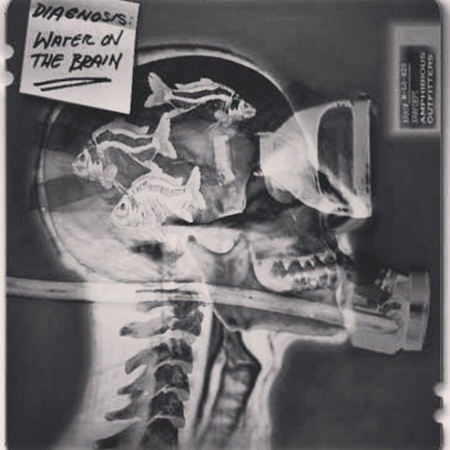 Risultati immagini per brain diving