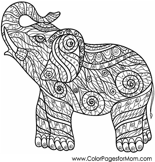 Elephant zendoodle coloring page Elephant zendoodle coloring page