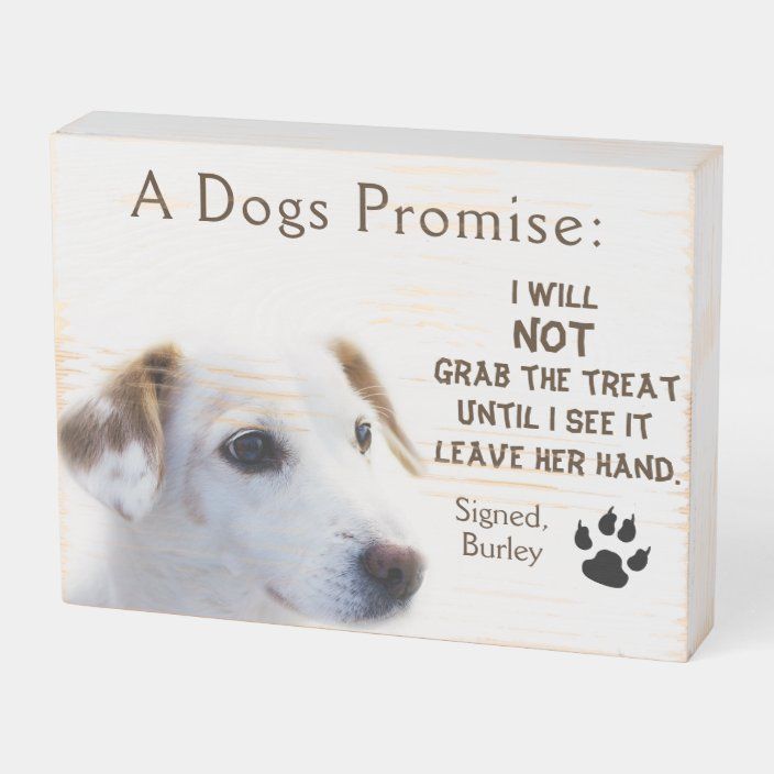 NIKKY HOME 6 All You Need is Love and A Dog Funny Wood Box Sign NIKKY HOME 6 All You Need is Love and A Dog Funny Wood Box Sign