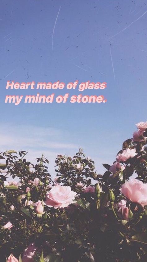 there is a pink rose bush with the words heart made of glass my mind of stone