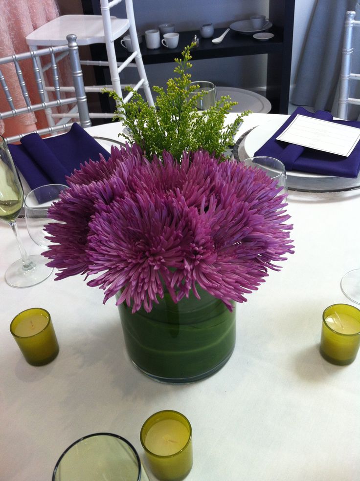 White Spider Mum Centerpiece : Best spider mums ideas on pinterest unusual flowers