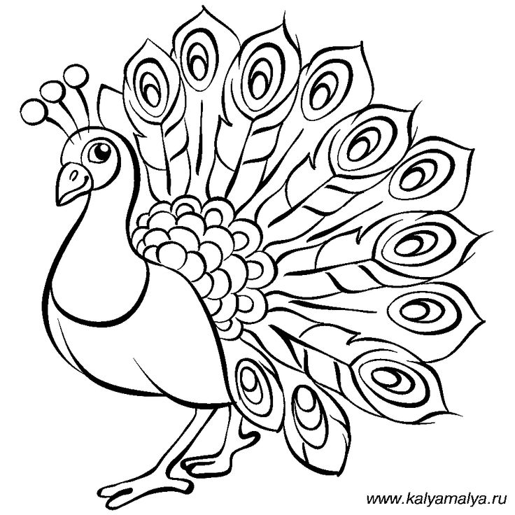 how to draw minions Peacock coloring pages, Art drawings for kids how to draw minions Peacock coloring pages, Art drawings for kids