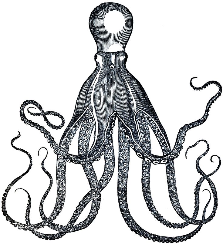 free graphics images