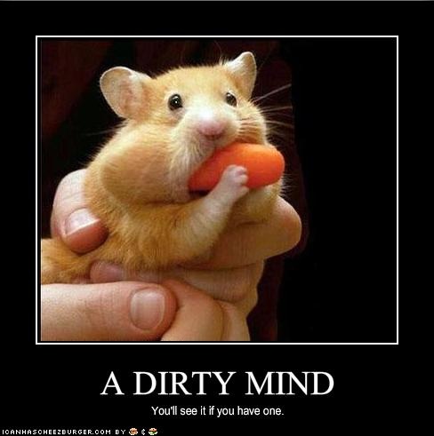 40 best Dirty Mind images on Pinterest | Funny images, Funny pics and Ha ha 40 best Dirty Mind images on Pinterest | Funny images, Funny pics and Ha ha