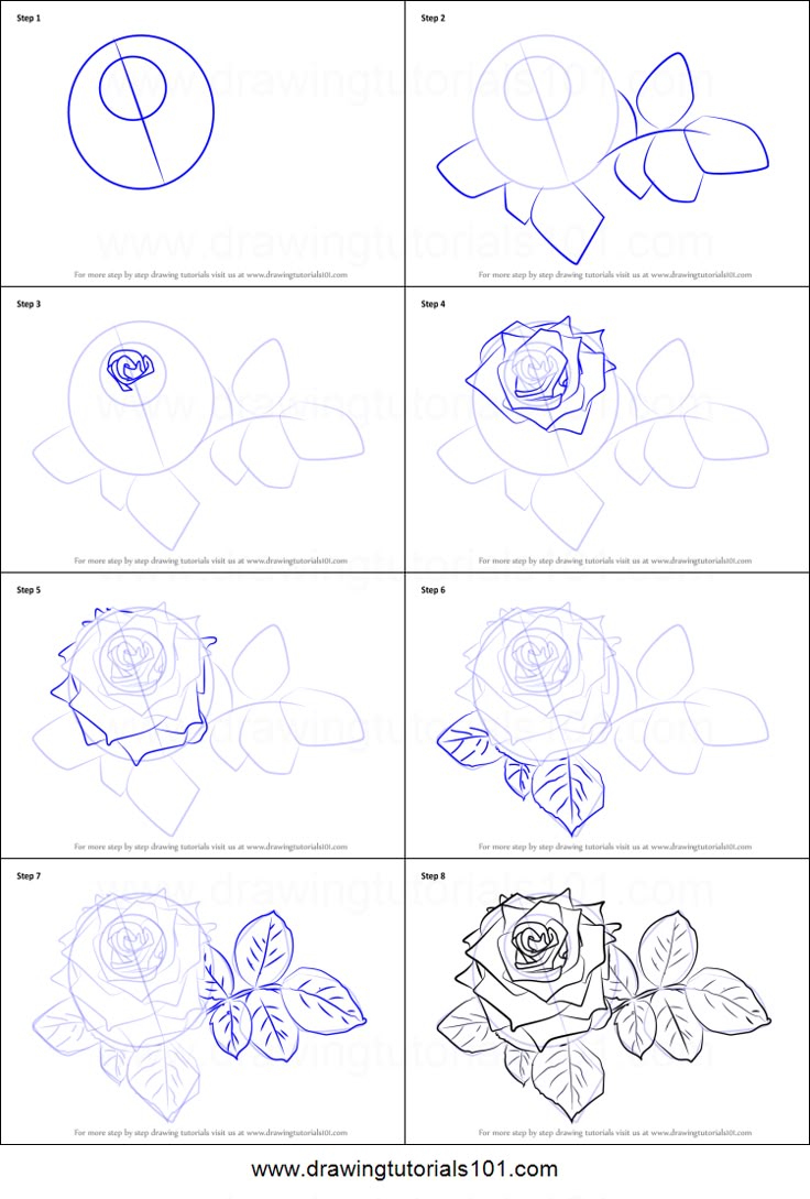 How to Draw Red Rose printable step by step drawing sheet ...