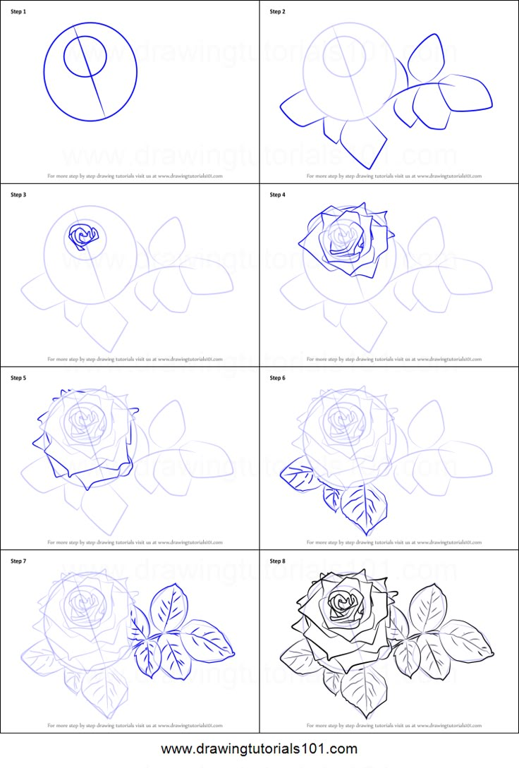 How to Draw Red Rose (Rose) Step by Step in 2024 | Flower drawing ...