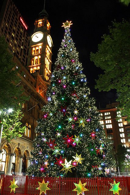 1649 best christmas images on pinterest christmas lights 1649 best christmas images on pinterest christmas lights