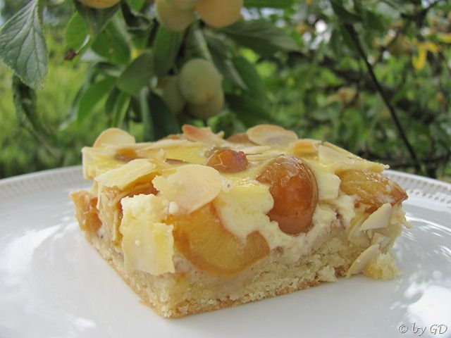 Mirabellenkuchen mit Schmandguss | Cake recipes, Baking recipes, Baking