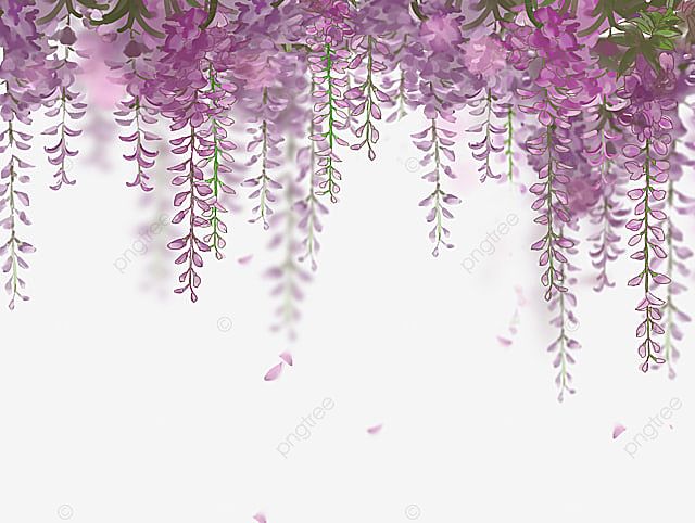 藤の花イラスト画像とpsdフリー素材透過の無料ダウンロード Pngtree In 22 Flower Backgrounds Flower Background Wallpaper Watercolor Wallpaper Iphone