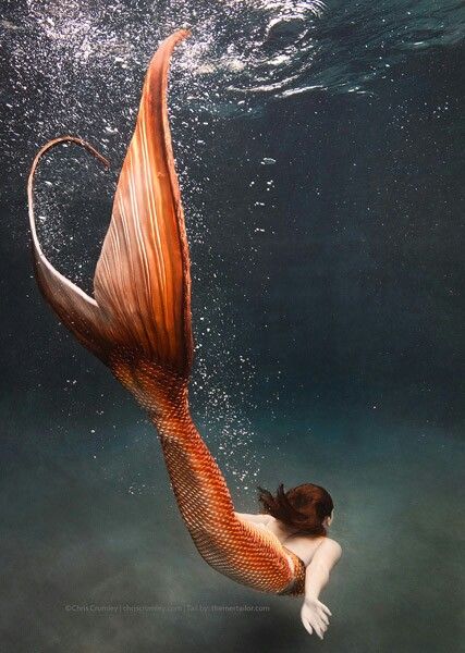 Image result for paintings and artwork mermaid swimming