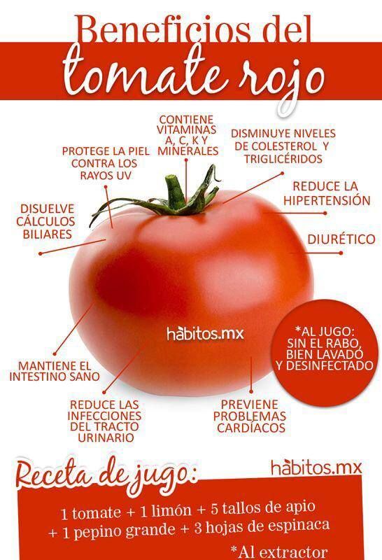 Más de 25 ideas increíbles sobre Plantas de tomate en Más de 25 ideas increíbles sobre Plantas de tomate en