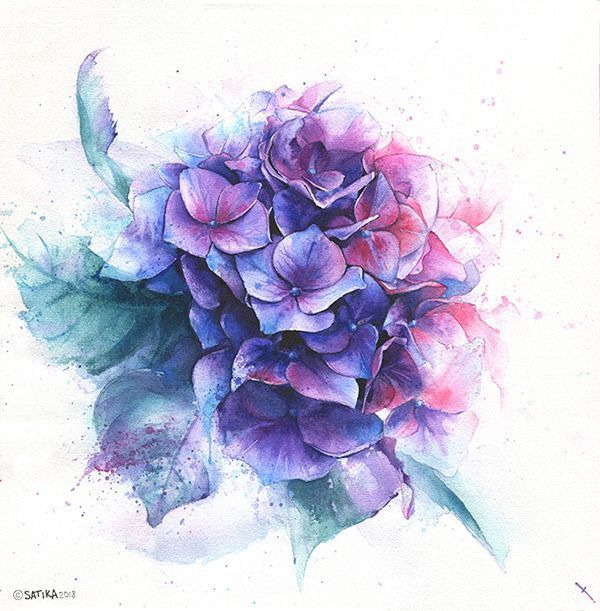 Hydrangea Drawing Watercolor Blue Violet Pink And Purple Flower Bouquet On Wh Blue Bouquet D Purple Flower Tattoos Purple Flower Bouquet Purple Flowers