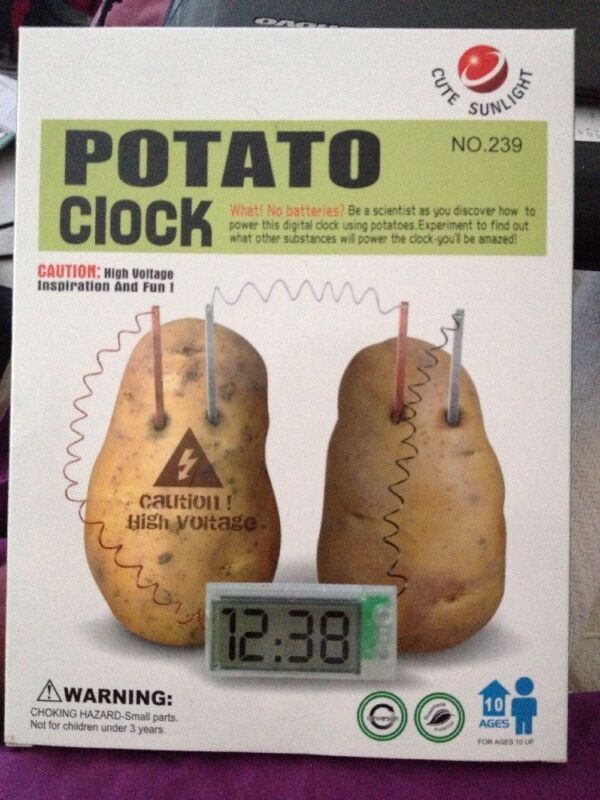 New Cute Sunlight Potato Clock Science Store Science Games Science Books