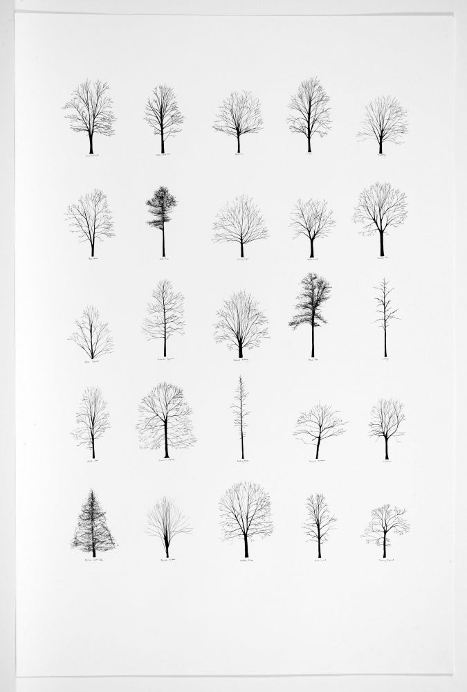 Architecture Drawing Png 24 best png images on pinterest | photoshop, architecture and Architecture Drawing Png 24 best png images on pinterest | photoshop, architecture and