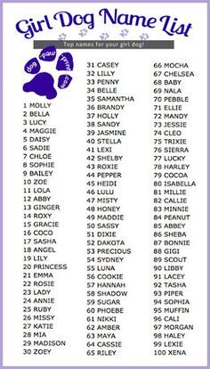 18 Best Animals Images On Pinterest Doggies Dogs And Boy Dog Names Top 100 Dog Names List