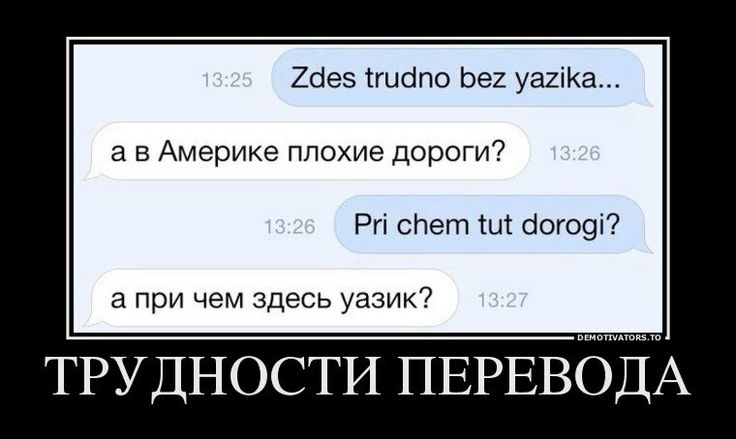 Приколы переводы картинки, васильки ромашки