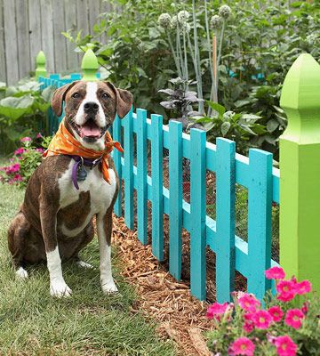 25 Best Picket Fence Garden Ideas On Pinterest Define Corner 25 Best Picket Fence Garden Ideas On Pinterest Define Corner Focal Point Definition And Gate
