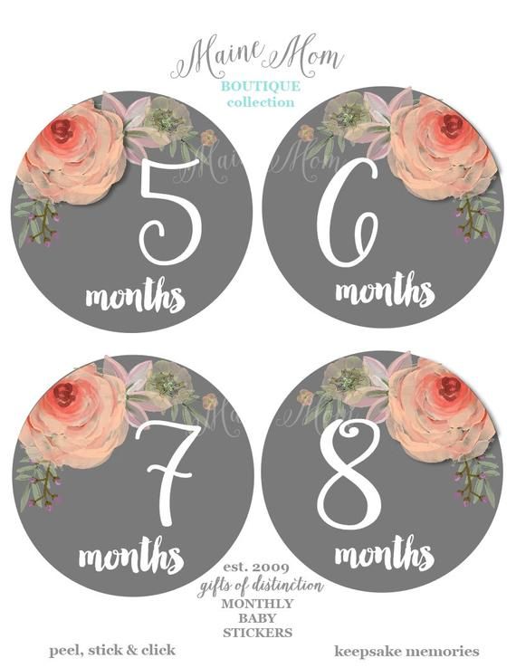Baby Girl Month Stickers Floral Nursery Monthly Baby Stickers New Baby Watercolor Roses First Year Photo, Bodysuit Stickers FREE GIFTS