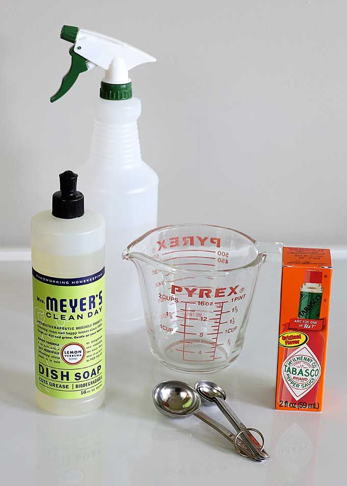 Homemade Squirrel Repellent Recipe House of Hawthornes