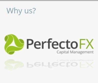 Managed forex investment