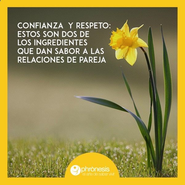 Pin On Frases Para La Familia