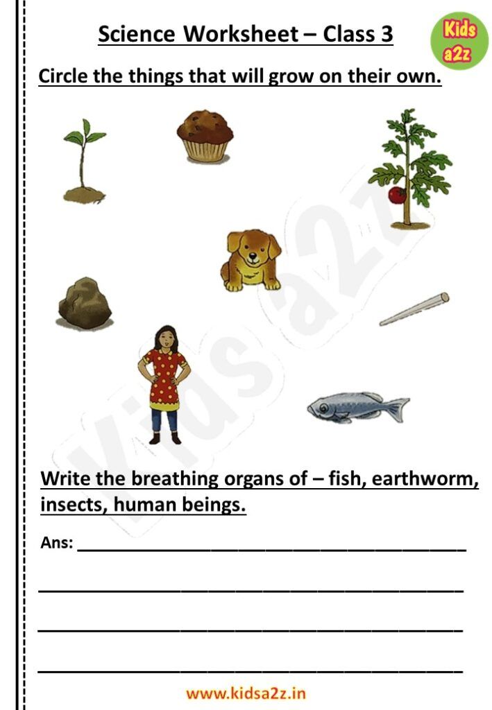 pin by kids a2z on class 3 worksheet science worksheets worksheets free worksheets
