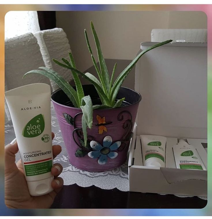 Sen Hic Aloe Vera Jelini Lr Konsantre Krem Saclarina Surup Uyudun Mu Uyumadinsa Uyu Ama Konsantre Surup Yoksa Hemen Bana Mesaj Surenler Aloe Jelsa Krem Sen Hic Aloe Vera Jelini Lr Konsantre Krem Saclarina Surup Uyudun Mu Uyumadinsa Uyu Ama Konsantre Surup Yoksa Hemen Bana Mesaj Surenler Aloe Jelsa Krem