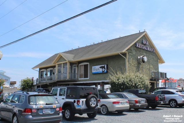 ISO a few good people to join our team! Server / Bartender Line Cook Bus Person Stop by to fill out application or email resume to: jody@ocshark.com Hope to meet you soon! Shark on the Harbor 12924 Sunset Ave. Ocean City, MD 21842 #oceancitycool