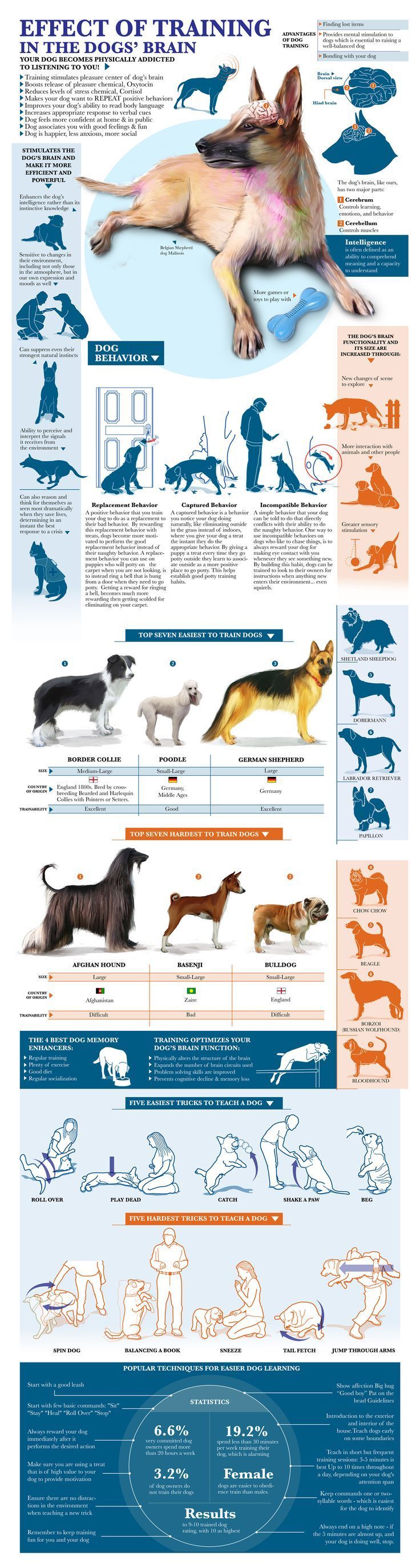 Puppy Dog Ok Foods Nuts Puppy Dog Ok Foods Nuts