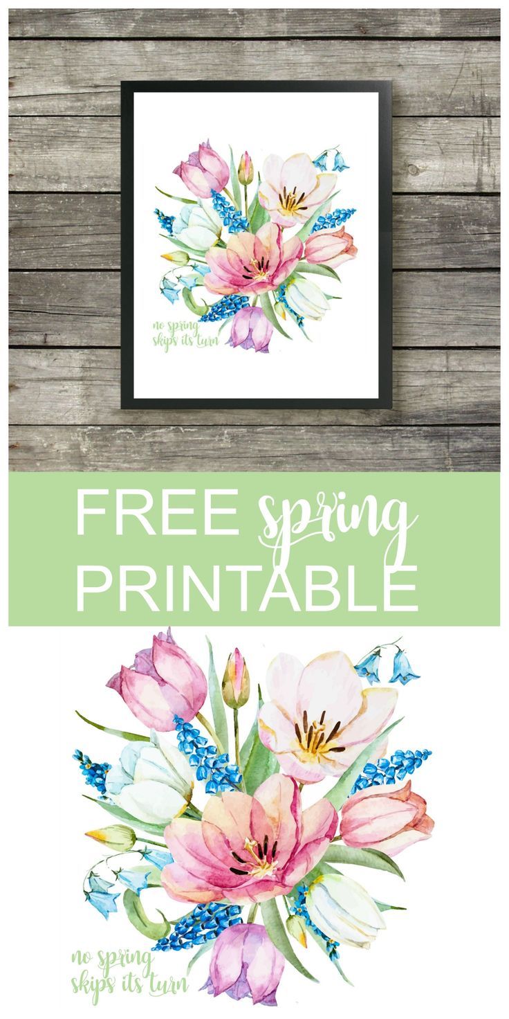No Spring Skips Its Turn Printable is a beautiful and colorful 8 x 10 FREE print to display in your home, office, or dwelling space.