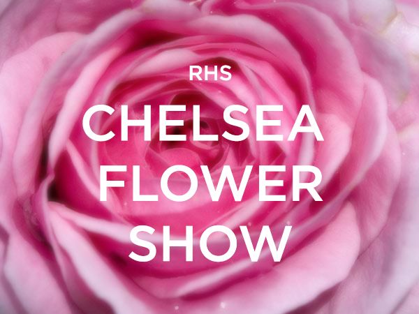 Garden By The Bay Flower Show 111 best chelsea flower shows images on pinterest | chelsea flower Garden By The Bay Flower Show 111 best chelsea flower shows images on pinterest | chelsea flower