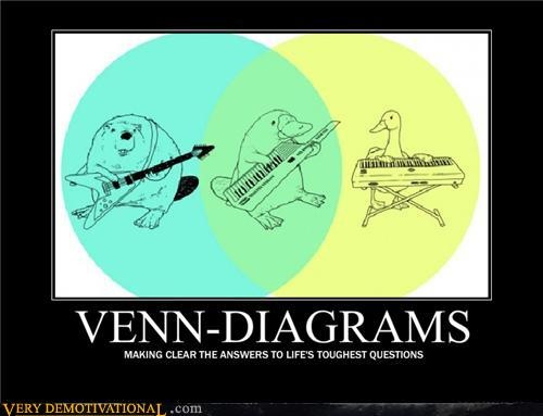 36 best puns and memes images on pinterest funny stuff venn diagram duck beaver platypus