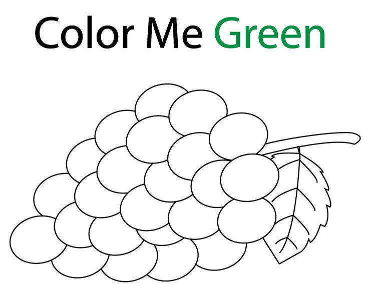 Download Green Grapes Coloring Pages | Coloring pages, Leaf coloring page, Tree coloring page