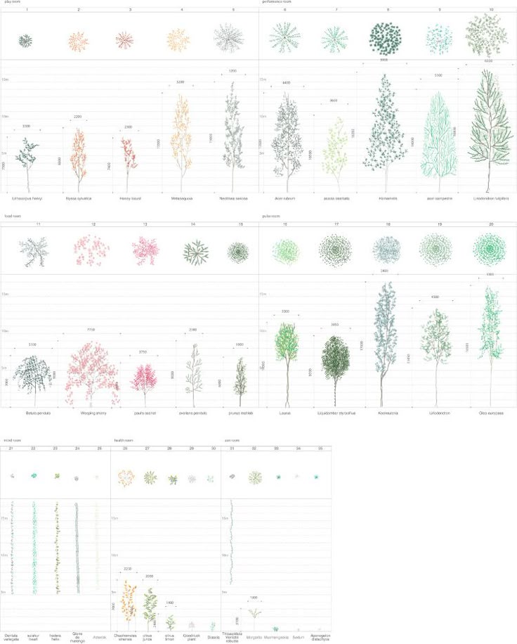 Architecture Drawing Of Trees 206 best draw icon render tool images on pinterest | photoshop Architecture Drawing Of Trees 206 best draw icon render tool images on pinterest | photoshop