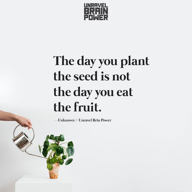 The Day You Plant The Seed Is Not The Day You Eat The Fruit The Day You Plant The Seed Is Not The Day You Eat The Fruit. | Life Lesson Quotes, Seed Quotes, Lesson Quotes The Day You Plant The Seed Is Not The Day You Eat The Fruit The Day You Plant The Seed Is Not The Day You Eat The Fruit. | Life Lesson Quotes, Seed Quotes, Lesson Quotes