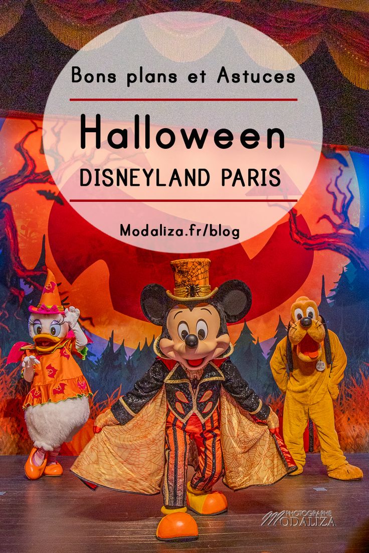 Épinglé sur Halloween