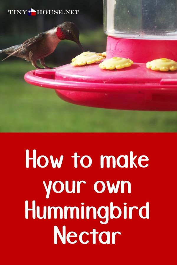 best 25 making hummingbird nectar ideas on pinterest best 25 making hummingbird nectar ideas on pinterest