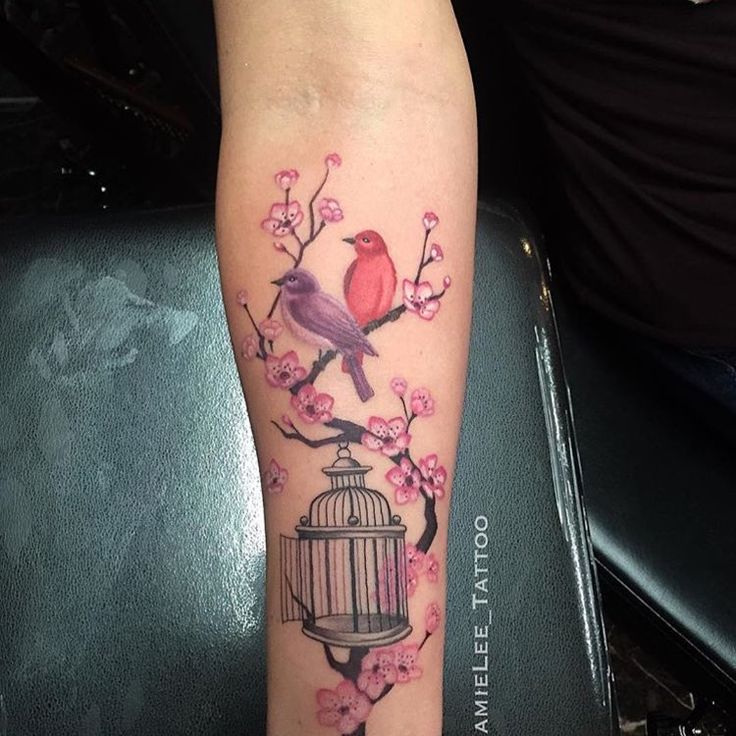 the 25 best boston tattoo ideas on pinterest boston terrier the 25 best boston tattoo ideas on pinterest boston terrier
