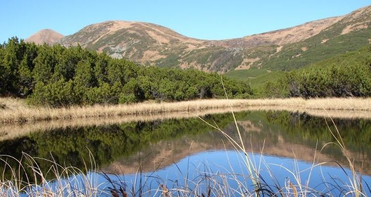 a lake surrounded by tall grass and mountains