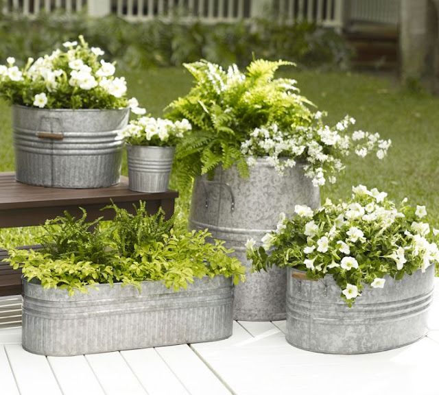 Galvanized Metal Tubs Buckets Pails As Planters These Are Galvanized Metal Tubs Buckets Pails As Planters These Are Absolutely My Favorite For Container Gardens Divine Exterior Design Pinterest