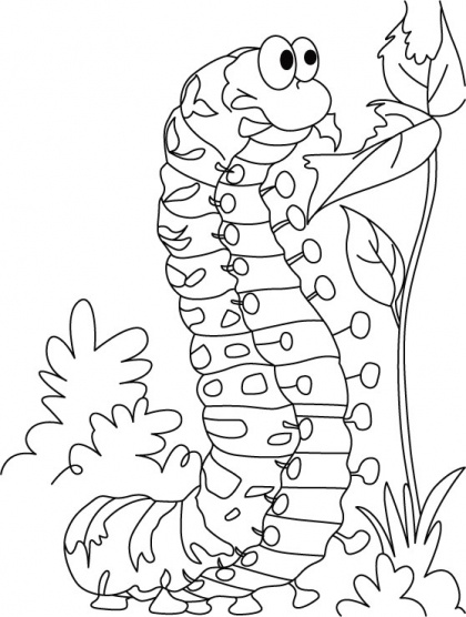 87 best Insects Coloring Pages images on Pinterest | Coloring ... 87 best Insects Coloring Pages images on Pinterest | Coloring ...