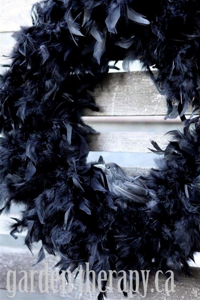 halloween crow feather wreath