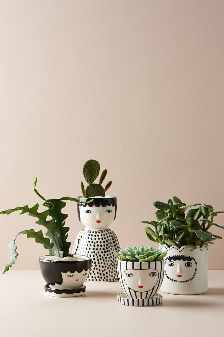 Face Pot
Face Pot