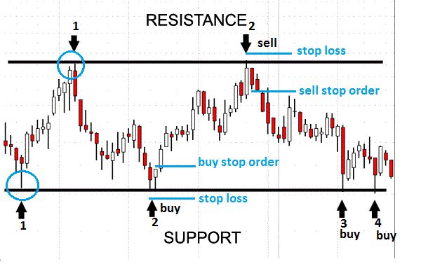 Kumar forex trader