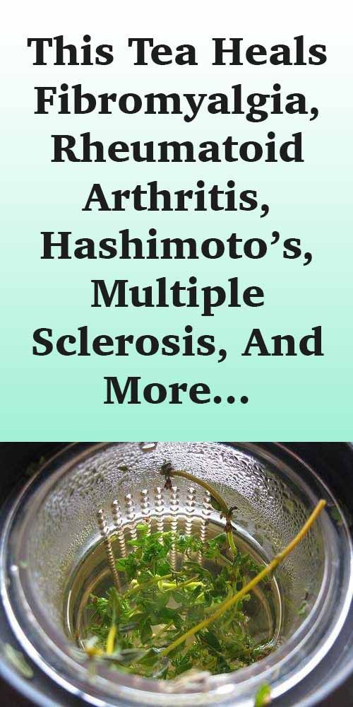 How To Cure Hashimoto S Naturally How To Cure Hashimoto S Naturally