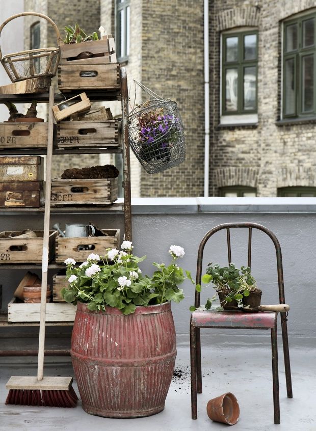 De 30 bedste billeder fra terrassen / haven på pinterest