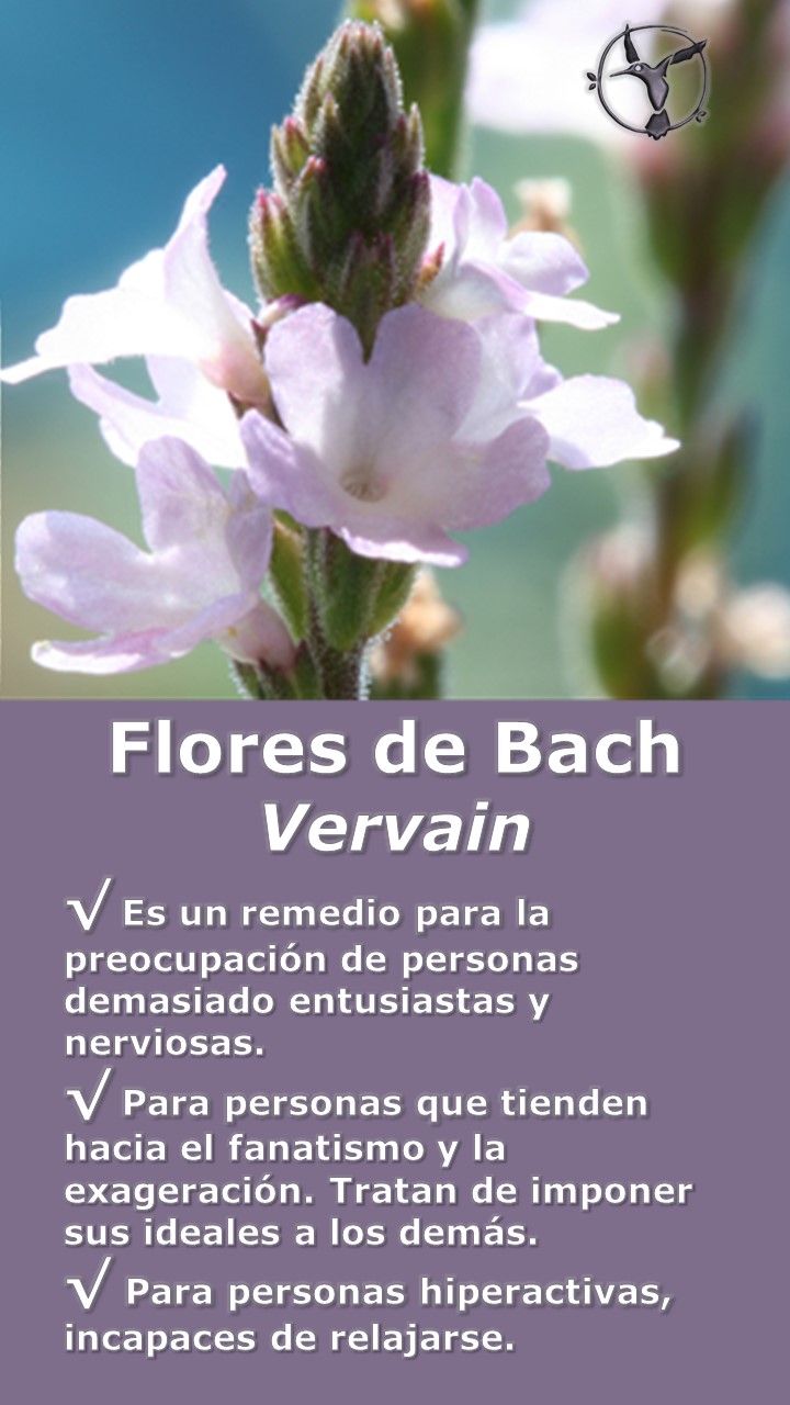 planta medicinal para los nervios y ansiedad planta medicinal para los nervios y ansiedad