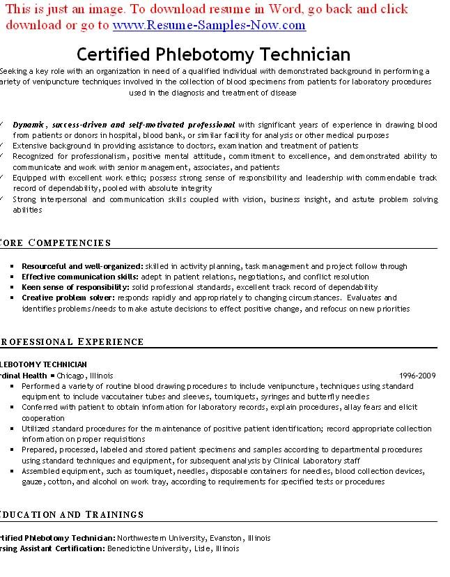 a sample of resume