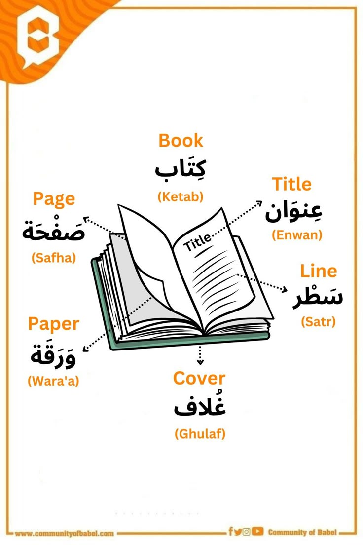 Our Words Of The Day In Egyptian Arabic English Vocabulary Words Our Words Of The Day In Egyptian Arabic English Vocabulary Words