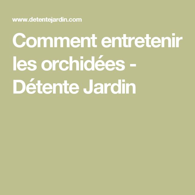 100 best Orchidées images on Pinterest Gardening, Horticulture and - comment combattre l humidite dans un appartement 100 best Orchidées images on Pinterest Gardening, Horticulture and - comment combattre l humidite dans un appartement